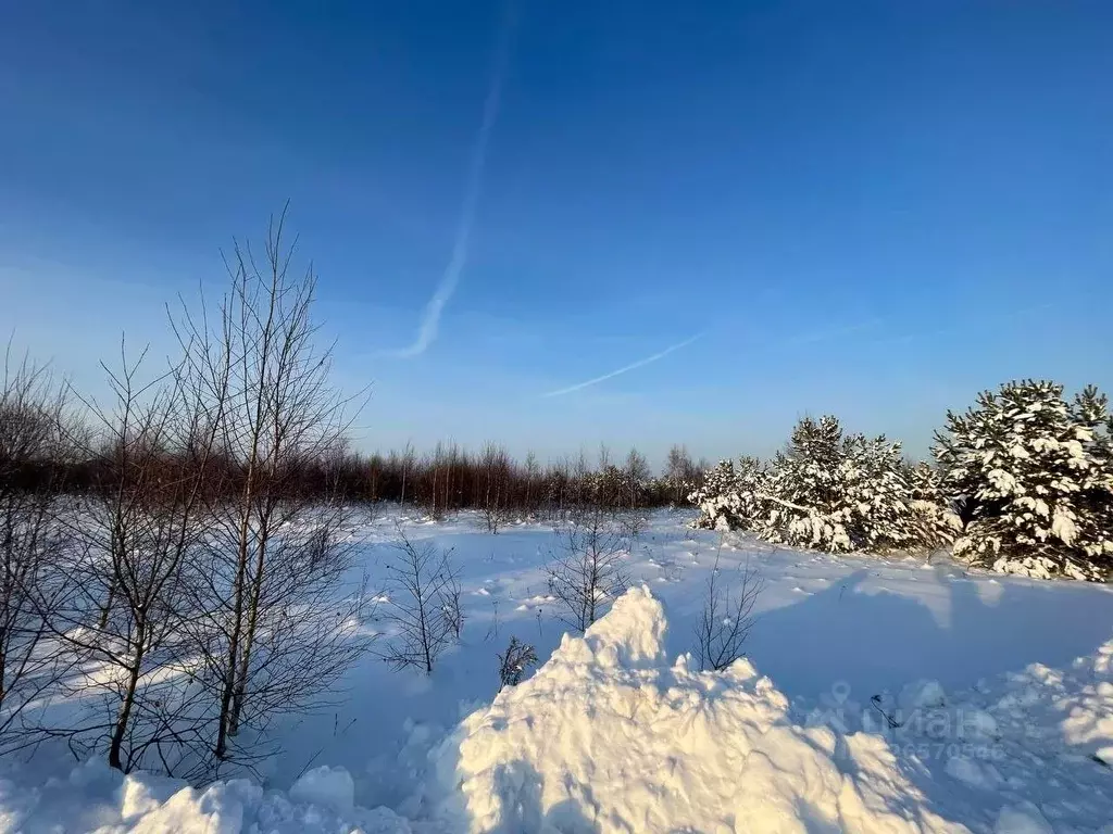 Участок в Московская область, Ступино городской округ, с. Ивановское  ... - Фото 2