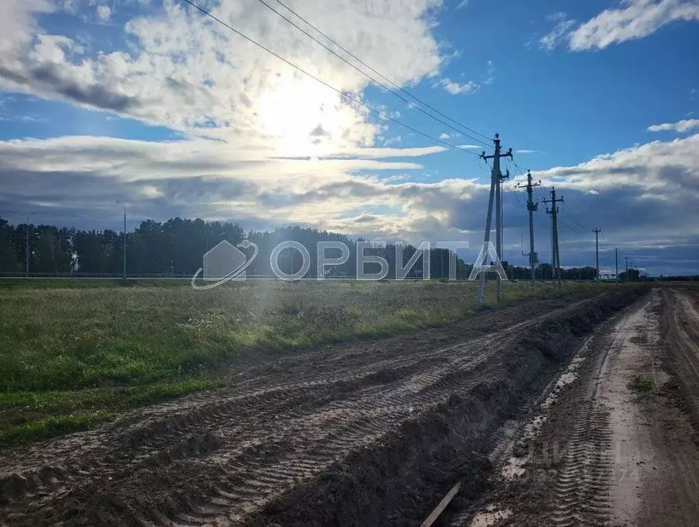 Участок в Тюменская область, Тюменский муниципальный округ, с. Щербак  ... - Фото 1