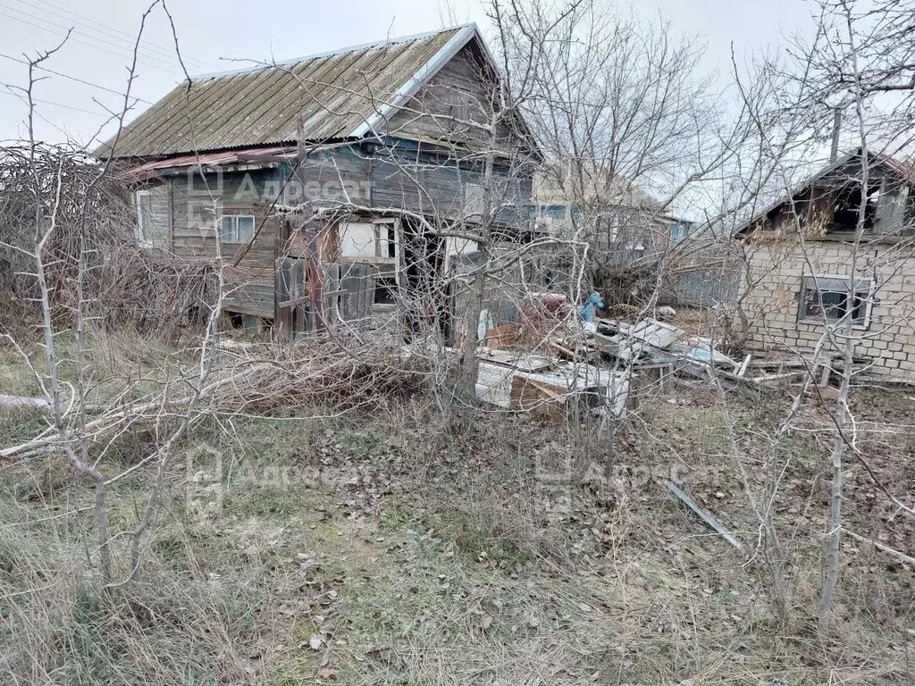 Дом в Волгоградская область, Волгоград ул. Алишера Навои (60 м) - Фото 1