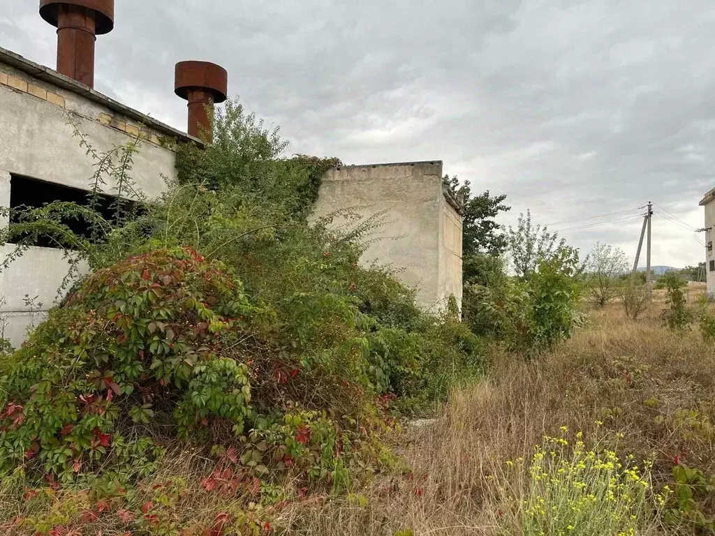 Участок в Крым, Белогорский район, с. Криничное ул. Кольцевая (26.0 ... - Фото 1