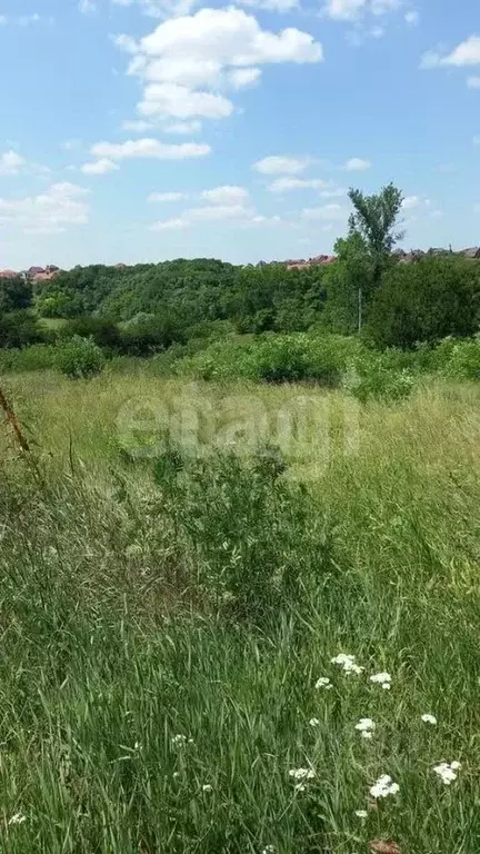 Участок в Белгородская область, Яковлевский муниципальный округ, с. ... - Фото 1