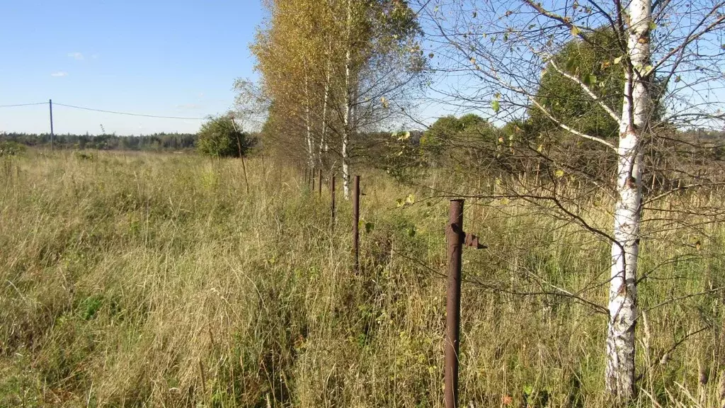 Участок в Московская область, Рузский муниципальный округ, д. Сафониха ... - Фото 1