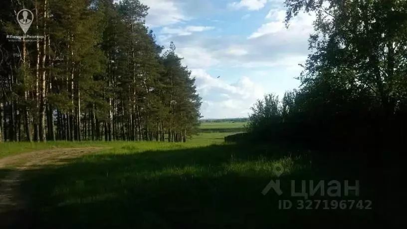Участок в Рязанская область, Спасский муниципальный округ, д. Горки  ... - Фото 2