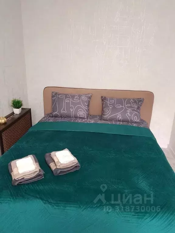 1-к кв. Хабаровский край, Хабаровск Амурский бул., 63 (30.0 м) - Фото 1