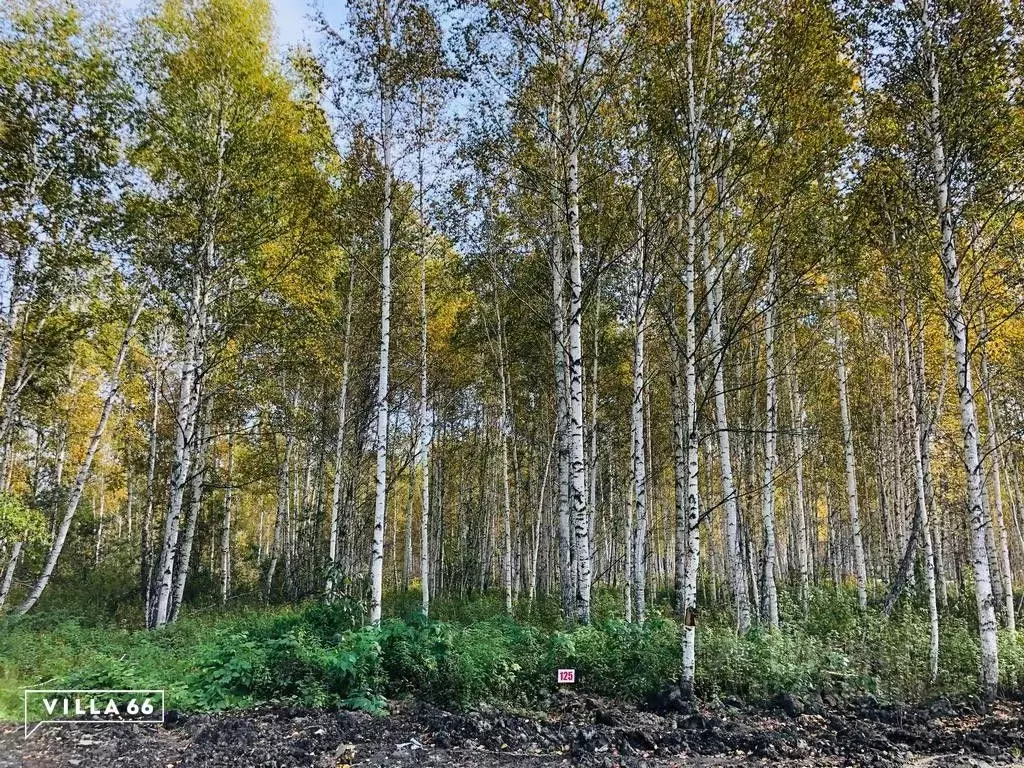 Участок в Свердловская область, Сысертский городской округ, пос. ... - Фото 0