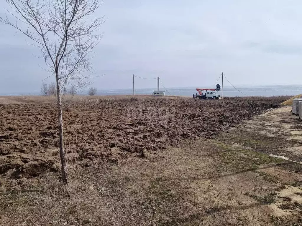 Участок в Волгоградская область, Дубовка Приволжская ул., 51 (9.2 ... - Фото 1