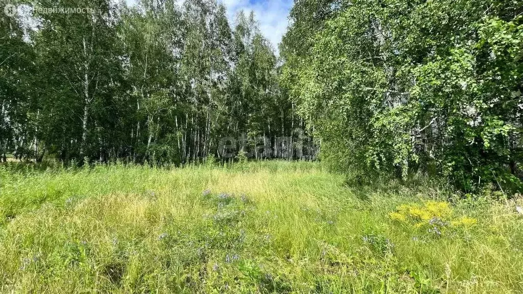 Участок в Курганская область, Кетовский муниципальный округ, деревня ... - Фото 0