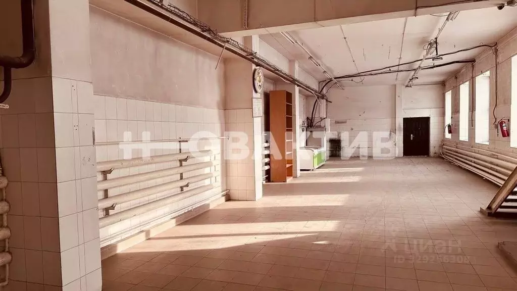 Помещение свободного назначения в Новосибирская область, Новосибирск ... - Фото 1