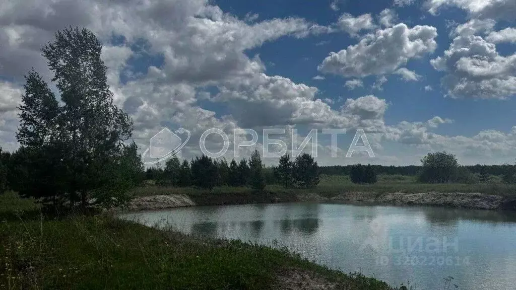 Участок в Тюменская область, Тюменский район, Новокаменский кп ул. ... - Фото 1