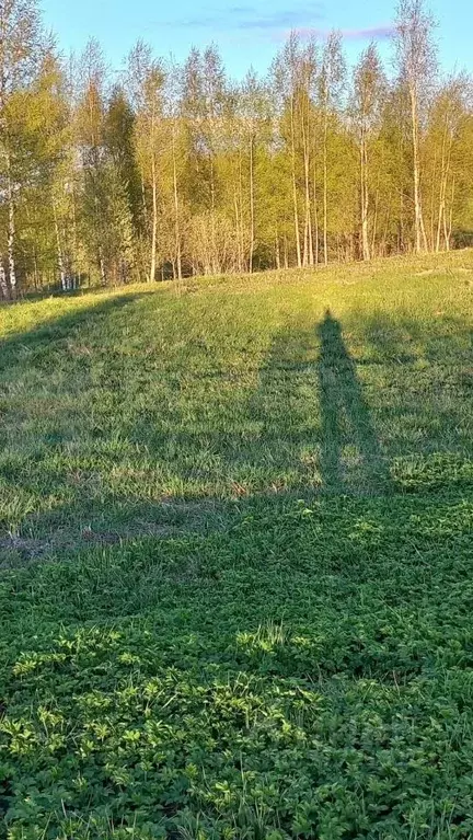 Участок в Новгородская область, Валдайский район, Короцкое с/пос, д. ... - Фото 2