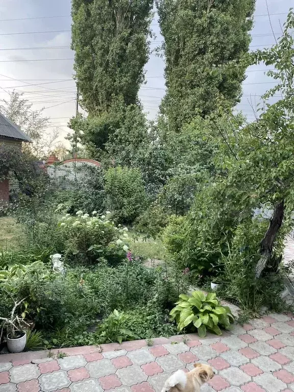 Дом 259,8 м на участке 4 сот. - Фото 1