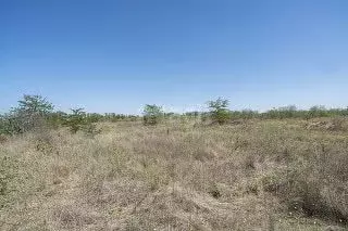 Участок в Кировская область, Кирово-Чепецкий район, Кстининское с/пос, ... - Фото 1