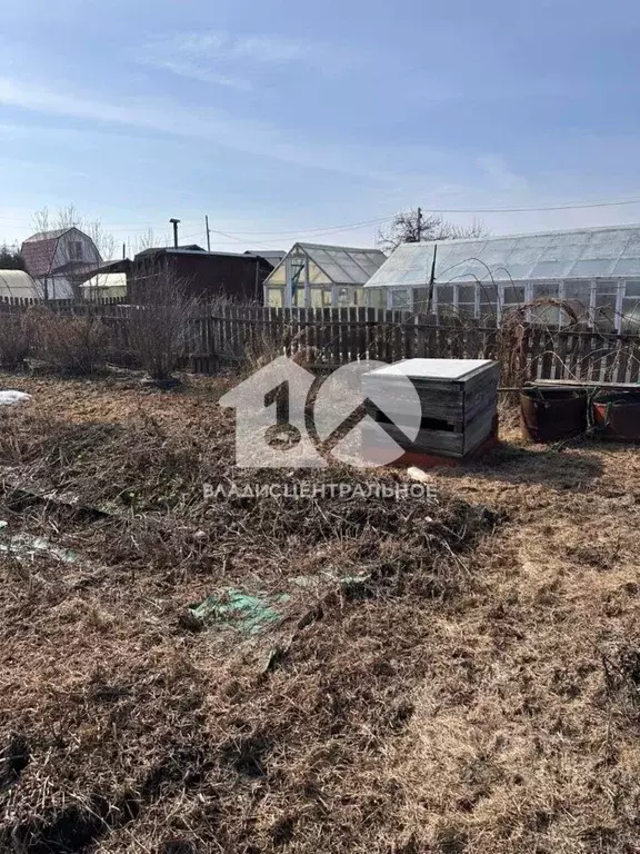 Участок в Новосибирская область, Новосибирск Маяк СНТ, ул. Основная, ... - Фото 0