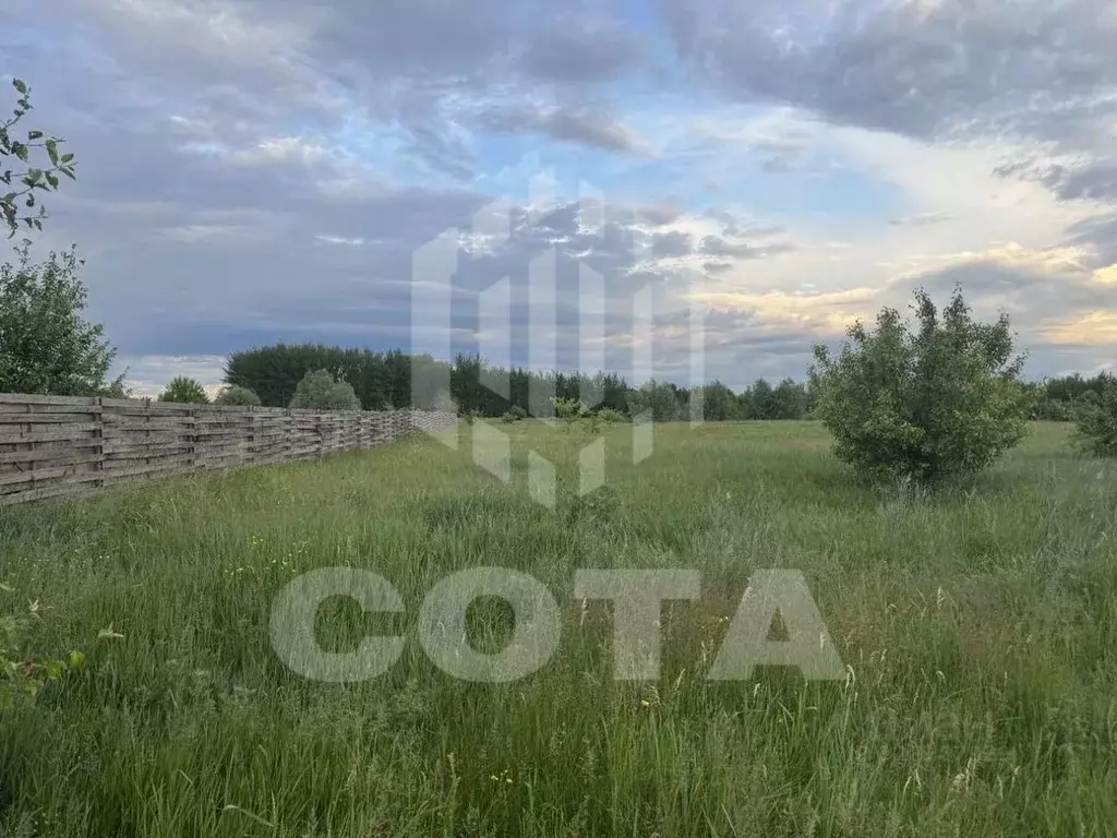 Участок в Воронежская область, с. Новая Усмань  (43.0 сот.) - Фото 1