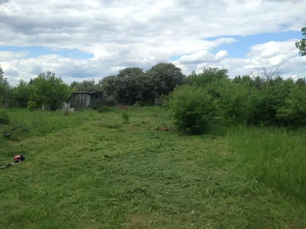 Участок в Судогодский район, муниципальное образование Головинское, ... - Фото 0