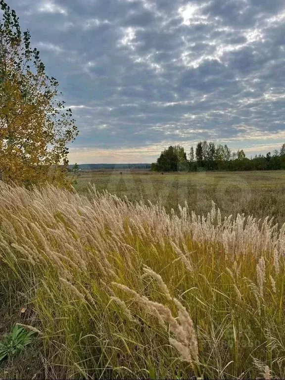 Участок в Пермский край, Кунгурский муниципальный округ, д. Балалы  ... - Фото 0