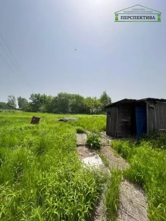 Участок в Приморский край, Надеждинский район, Росток СНТ  (10.0 сот.) - Фото 1