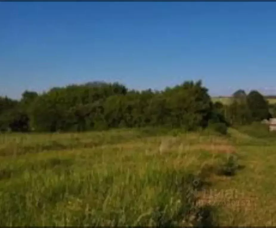 Участок в Воронежская область, Семилукский район, Землянское с/пос, с. ... - Фото 1