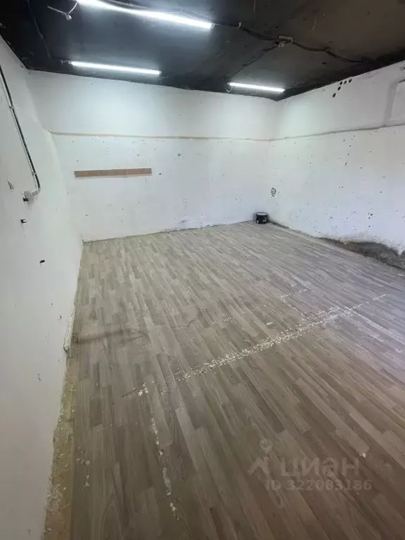Помещение свободного назначения в Краснодарский край, Анапа ... - Фото 1