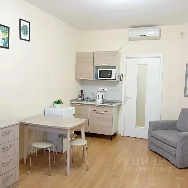 Студия Псковская область, Псков Гражданская ул., 27 (30.0 м) - Фото 2