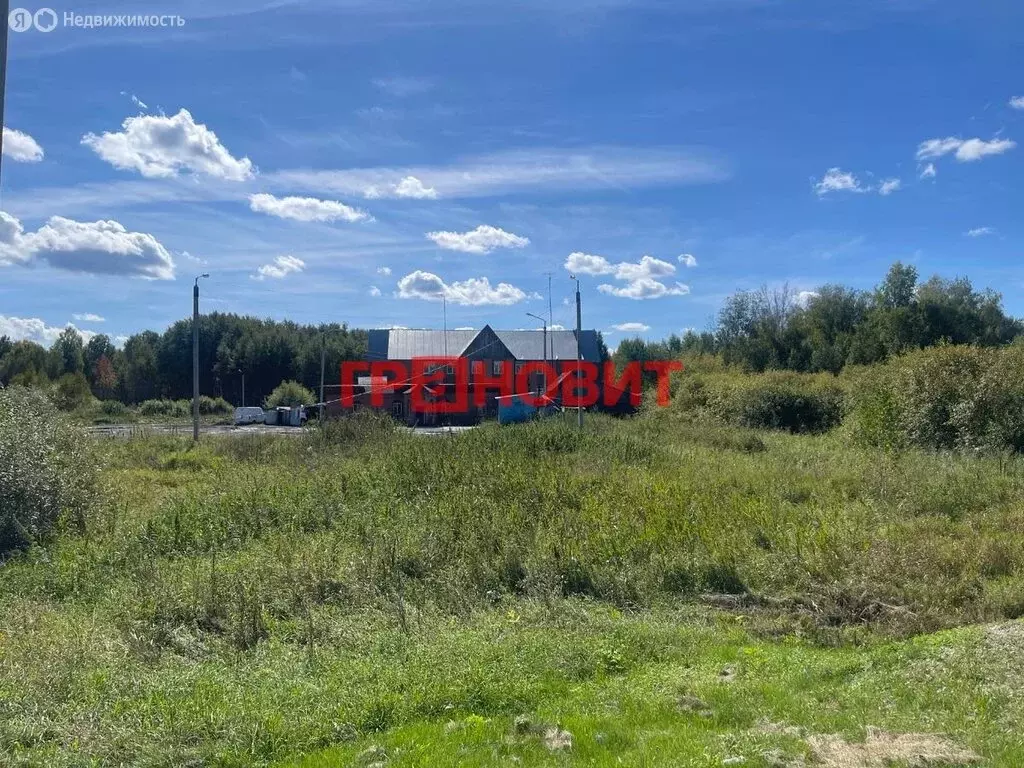 Помещение свободного назначения (1600 м) - Фото 0