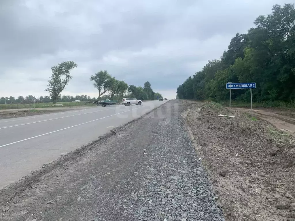 Участок в Курская область, Курский район, Нижнемедведицкий сельсовет, ... - Фото 1