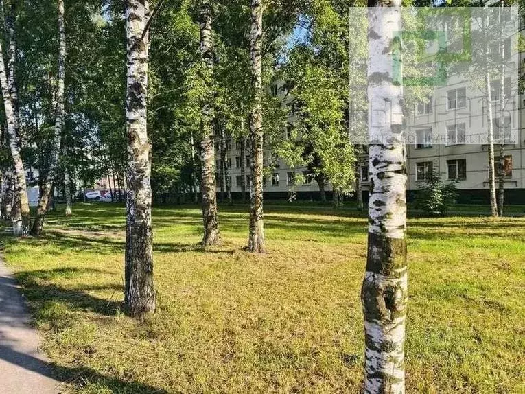 3-к кв. Санкт-Петербург Горелово тер., ш. Красносельское, 42 (41.5 м) - Фото 1