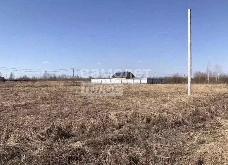 Участок в Тюменская область, Тюмень Большое Царево-1 СНТ,  (9.81 сот.) - Фото 1