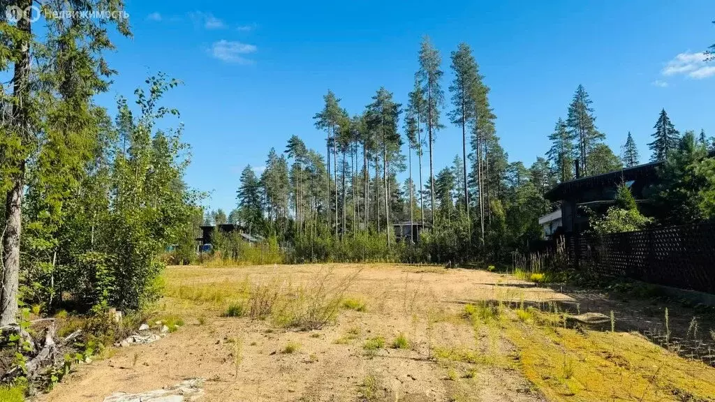 Участок в Выборгский район, Первомайское сельское поселение, КП Репино ... - Фото 2