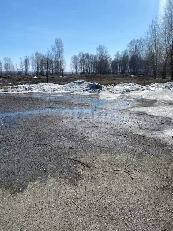 Участок в Кемеровская область, Кемеровский муниципальный округ, с. ... - Фото 0