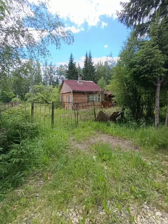 Участок, 10 сот., сельхоз (снт или днп) - Фото 0
