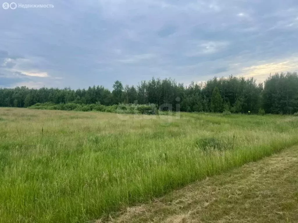 Участок в Тюменская область, посёлок городского типа Голышманово ... - Фото 2