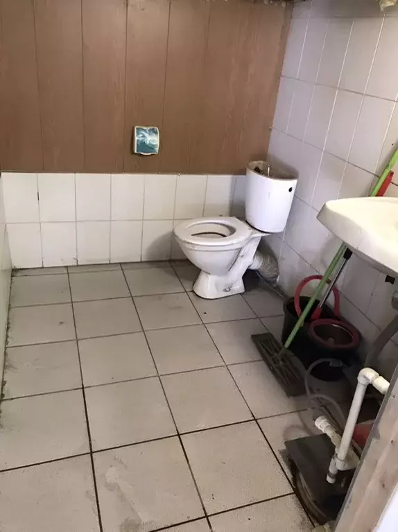 Гараж в Омская область, Омск ул. Фрунзе, 1к1 (30 м) - Фото 1