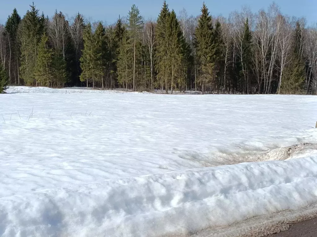Участок в Калужская область, Жуковский муниципальный округ, д. ... - Фото 1