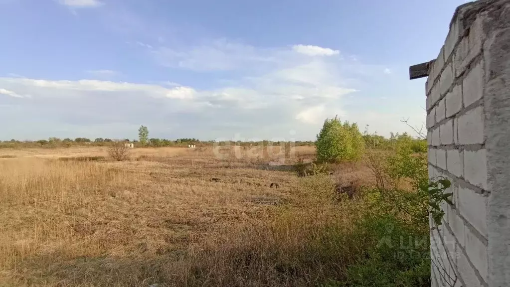 Участок в Амурская область, Благовещенский район, с. Владимировка ул. ... - Фото 1