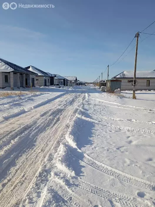 Участок в Алтайский край, городской округ Барнаул, посёлок Черницк, ... - Фото 0