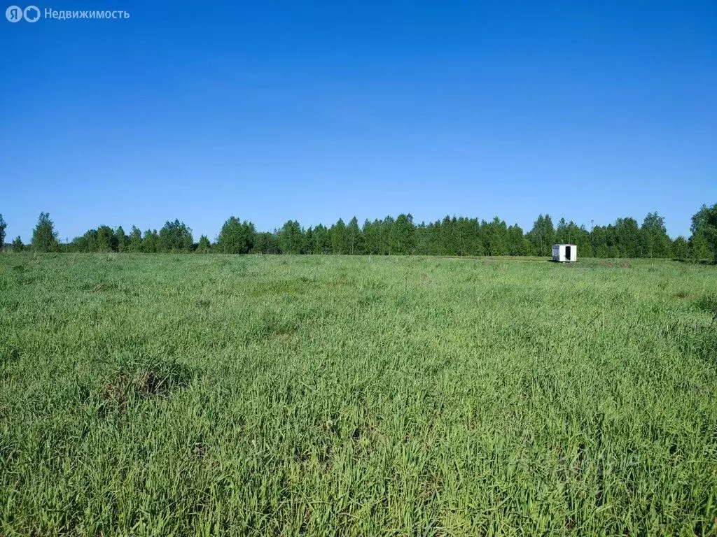 Участок в Калининградская область, Славский муниципальный округ, пос. ... - Фото 1