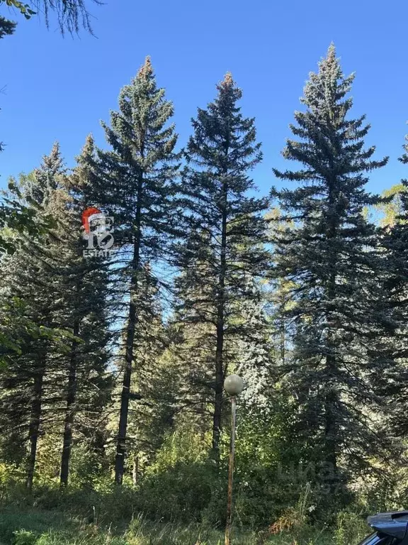 Участок в Московская область, Химки Новогорск мкр, ул. Заречная (7.5 ... - Фото 2