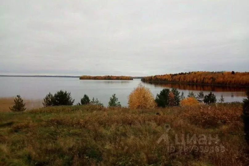 Дом в Карелия, Беломорский муниципальный округ, д. Ендогуба  (30 м) - Фото 1