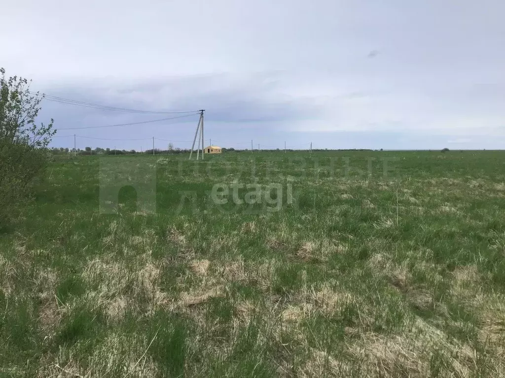 Участок в Новгородская область, Шимское городское поселение, д. Мстонь ... - Фото 0