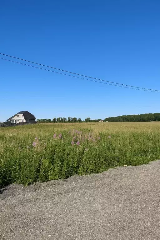 Участок в Калужская область, Жуковский район, Корсаково с/пос, д. ... - Фото 0