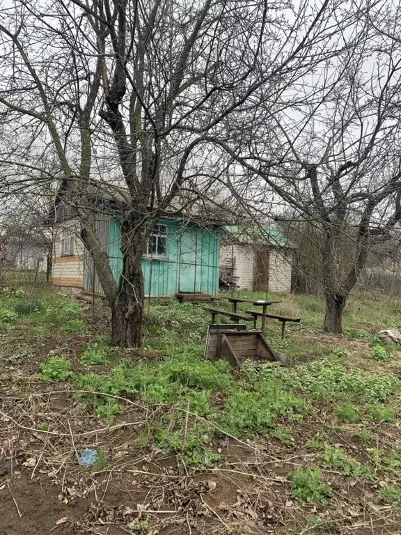 Дом в Белгородская область, Белгород Зеленая Горка садоводческое ... - Фото 1