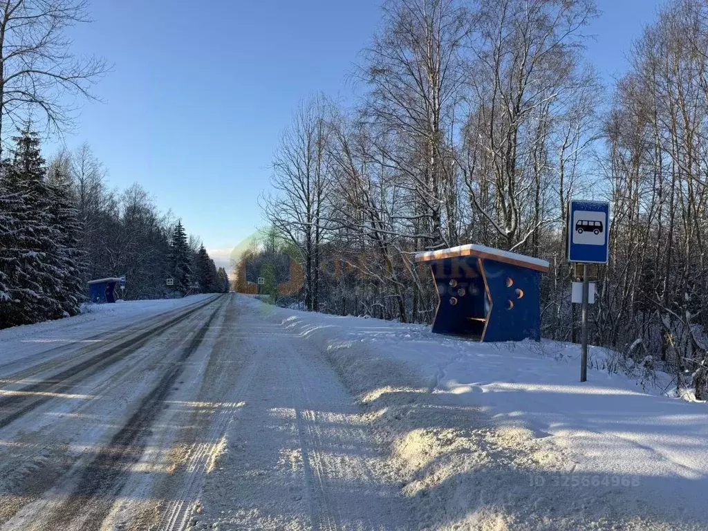 Участок в Ленинградская область, Кингисеппский район, Нежновское ... - Фото 2