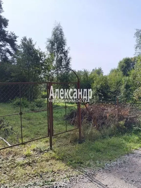 Участок в Ленинградская область, Выборгский район, Советское городское ... - Фото 1