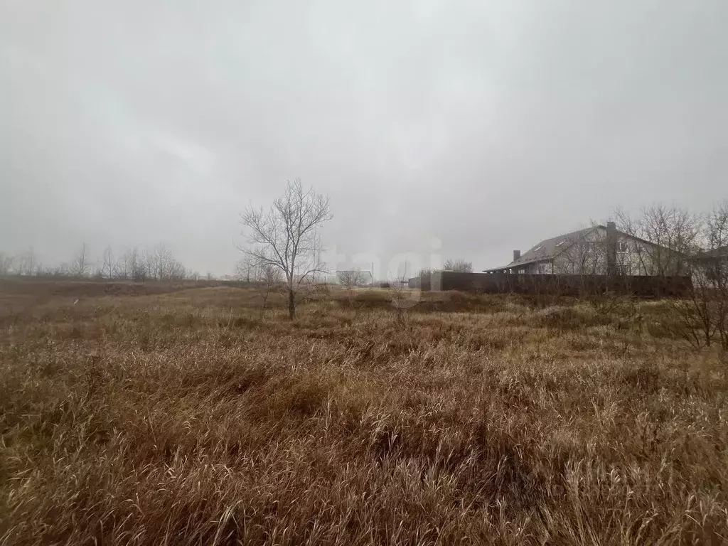 Участок в Воронежская область, Борисоглебск Лазоревая ул. (9.0 сот.) - Фото 2