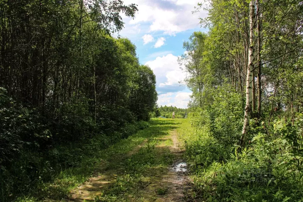 Участок в Калужская область, Малоярославецкий муниципальный округ М-3 ... - Фото 1