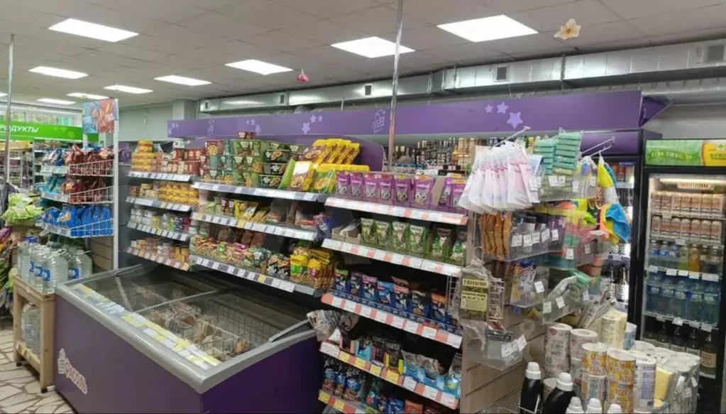 Помещение свободного назначения в Чувашия, Чебоксары просп. 9-й ... - Фото 2