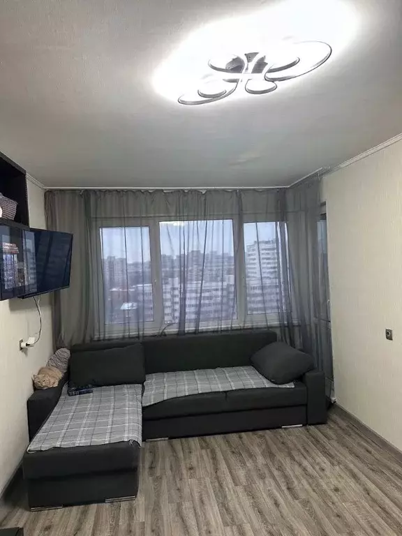 1-к кв. Санкт-Петербург ул. Кустодиева, 10К1 (32.2 м) - Фото 2