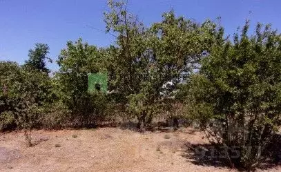 Участок в Севастополь Парус СТ, 7 (8.0 сот.) - Фото 1