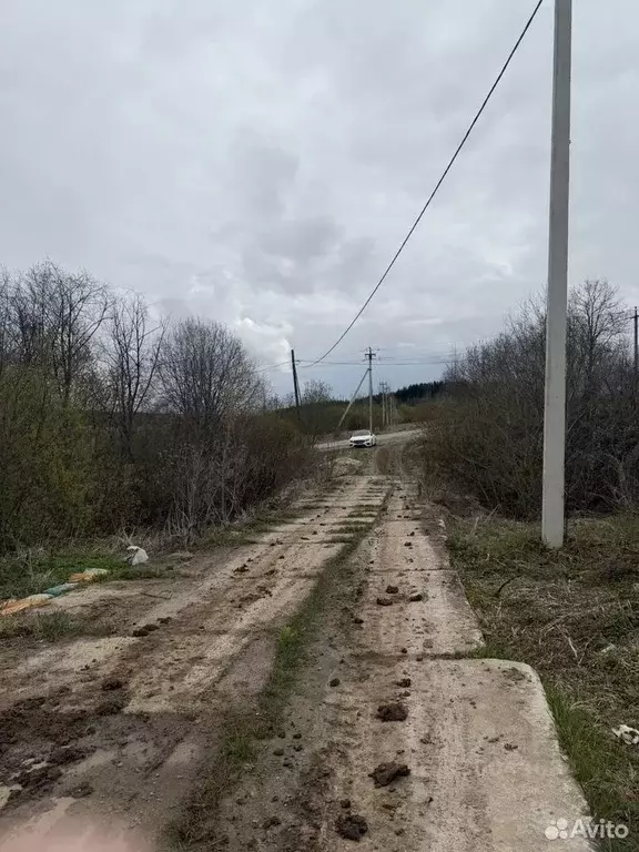 Участок в Московская область, Талдомский городской округ, д. Гусенки ... - Фото 1